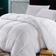 Royal Bedding Down Comforter, $135-$158